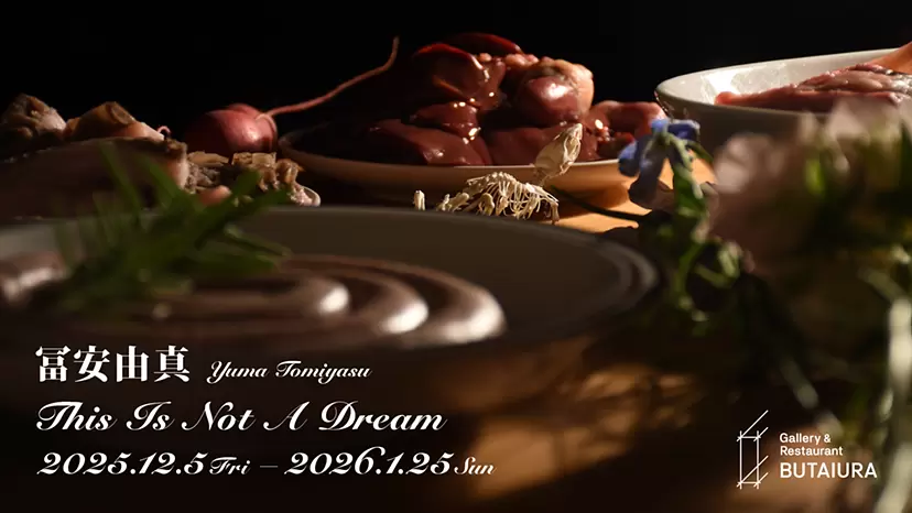 冨安由真個展「This Is Not A Dream」 | ArtSticker