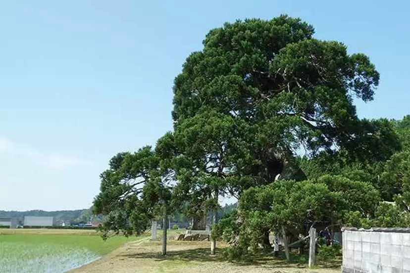 H. 上戸エリア｜Area Uedo - 奥能登国際芸術祭2023