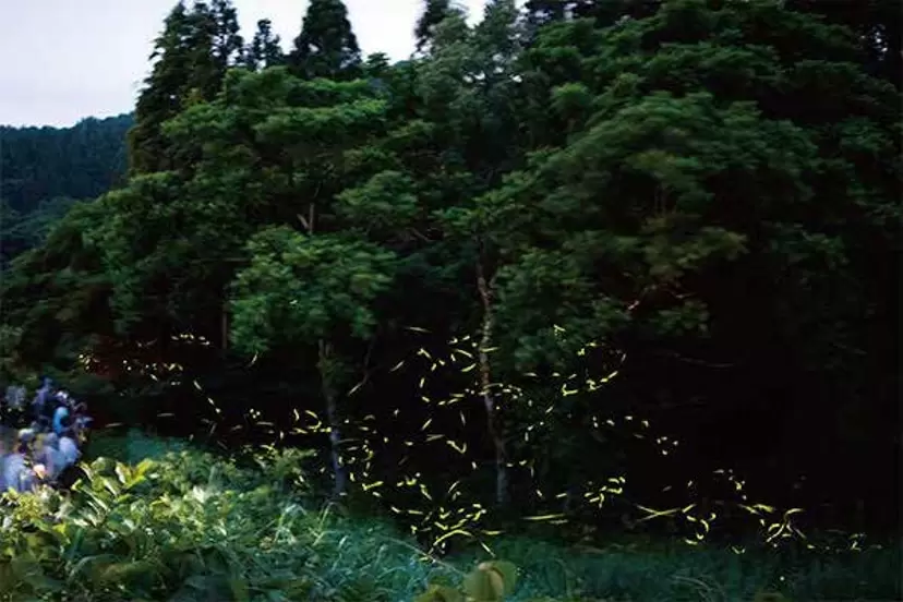 J. 若山エリア｜Area Wakayama - 奥能登国際芸術祭2023