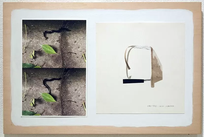 沼田ゾンビ⁉️ 「Chimera」培養ばたけ 複製原画 正方形 直筆サイン入り