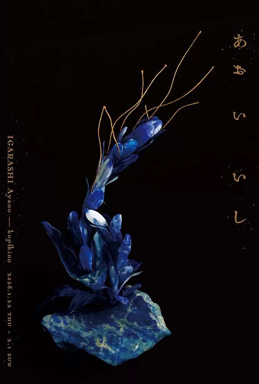 ✿月野乃亜 原画 2024年 S10／530×500mm 現代アート 24922 ✿月野乃亜 原画 2024年 S10／530×500mm 現代アート 24922