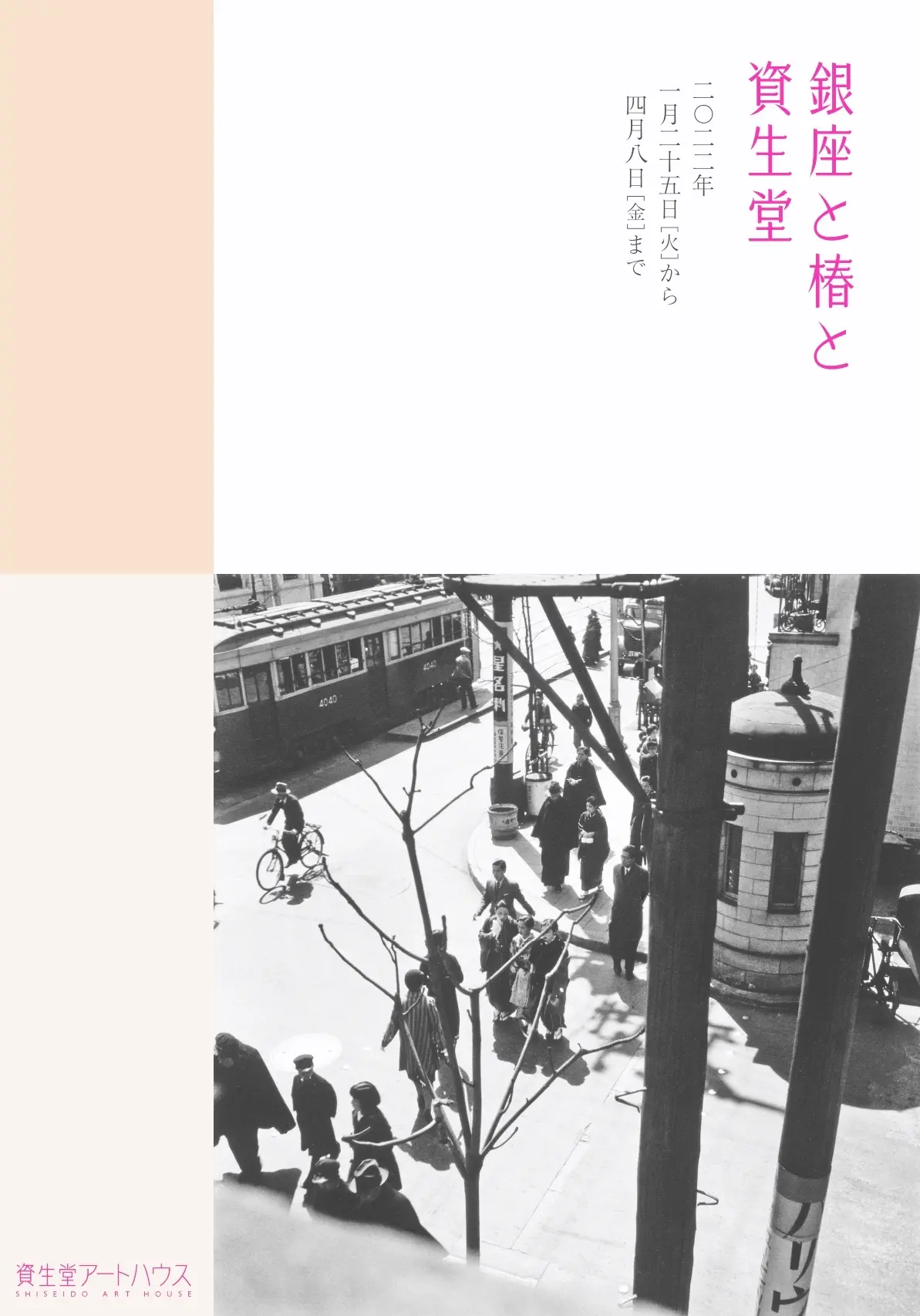 さわひらきhiraki 聞き分け Sawa LINEAMENT資生堂銀座展覧会43/300