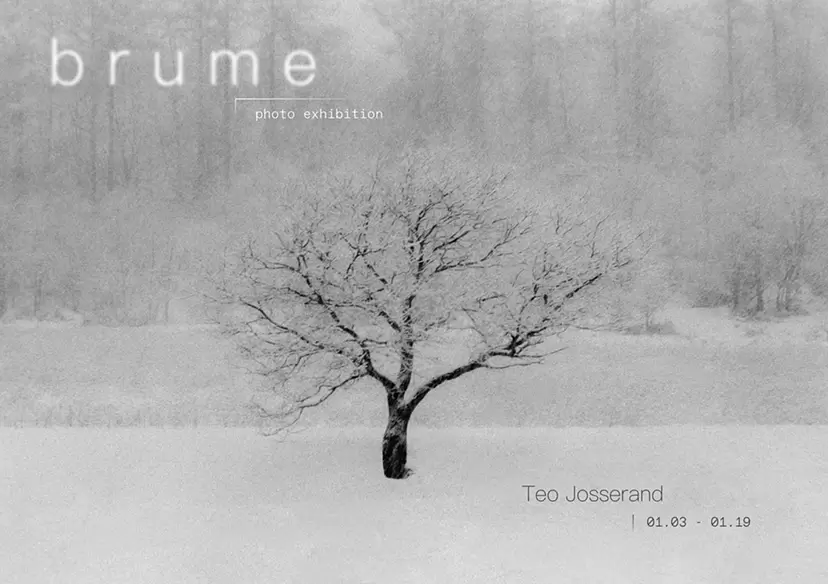 Teo Josserand “Brume”   