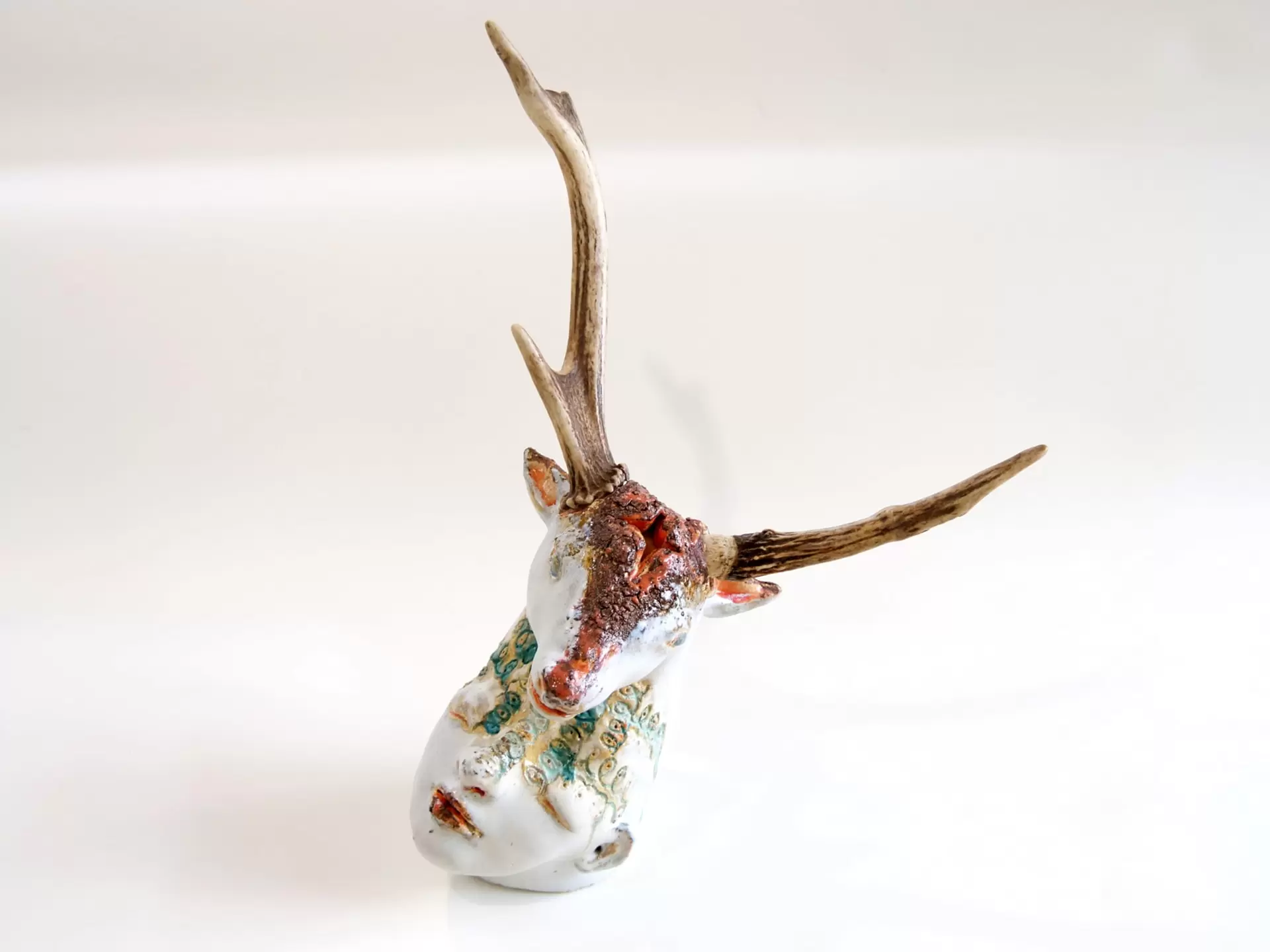 大小島真木個展「渦き Resonant Wounds」 | オンラインチケット販売