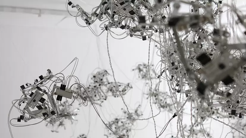 exhibition: moids project