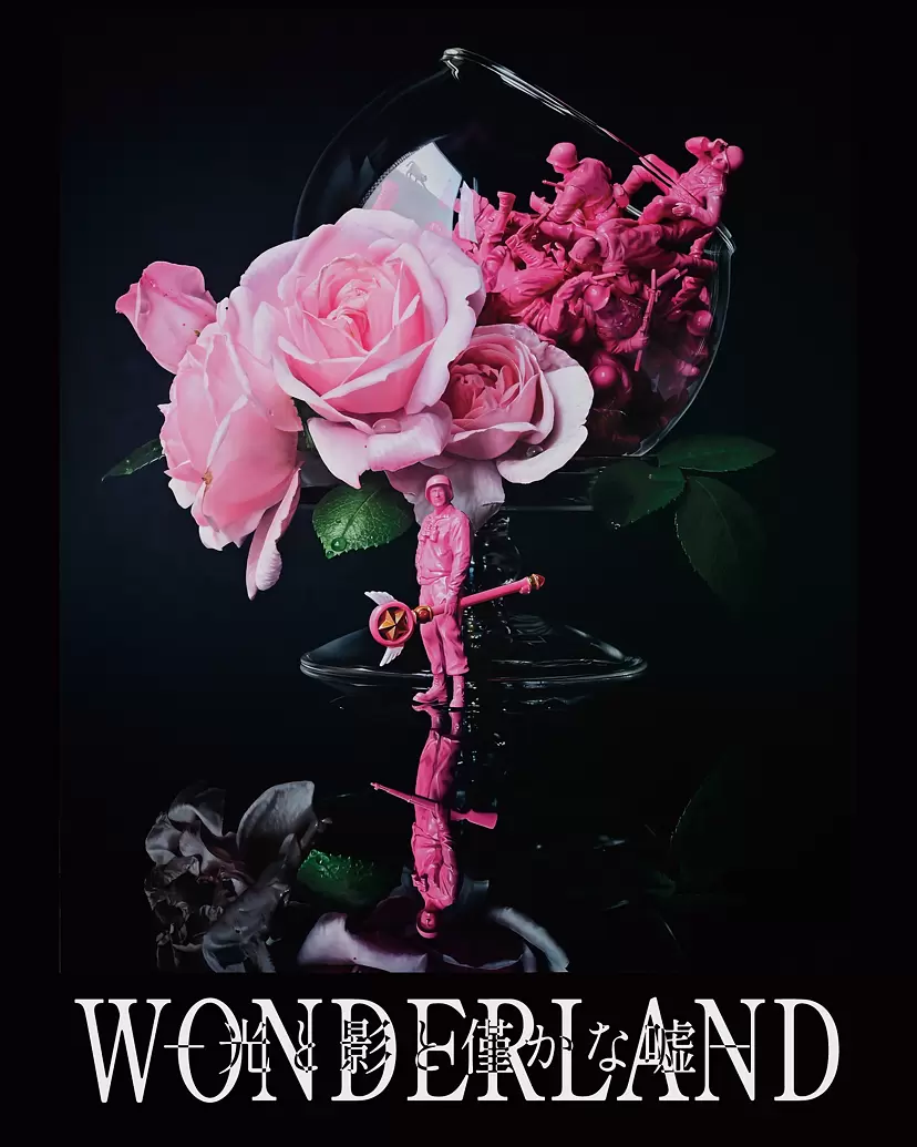 “WONDERLAND - The Light, Shadow and Subtle Lies” by Keitoku TOIZUMI