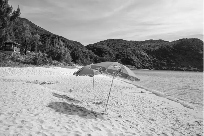 Uehara Sayaka “The Shore Before”