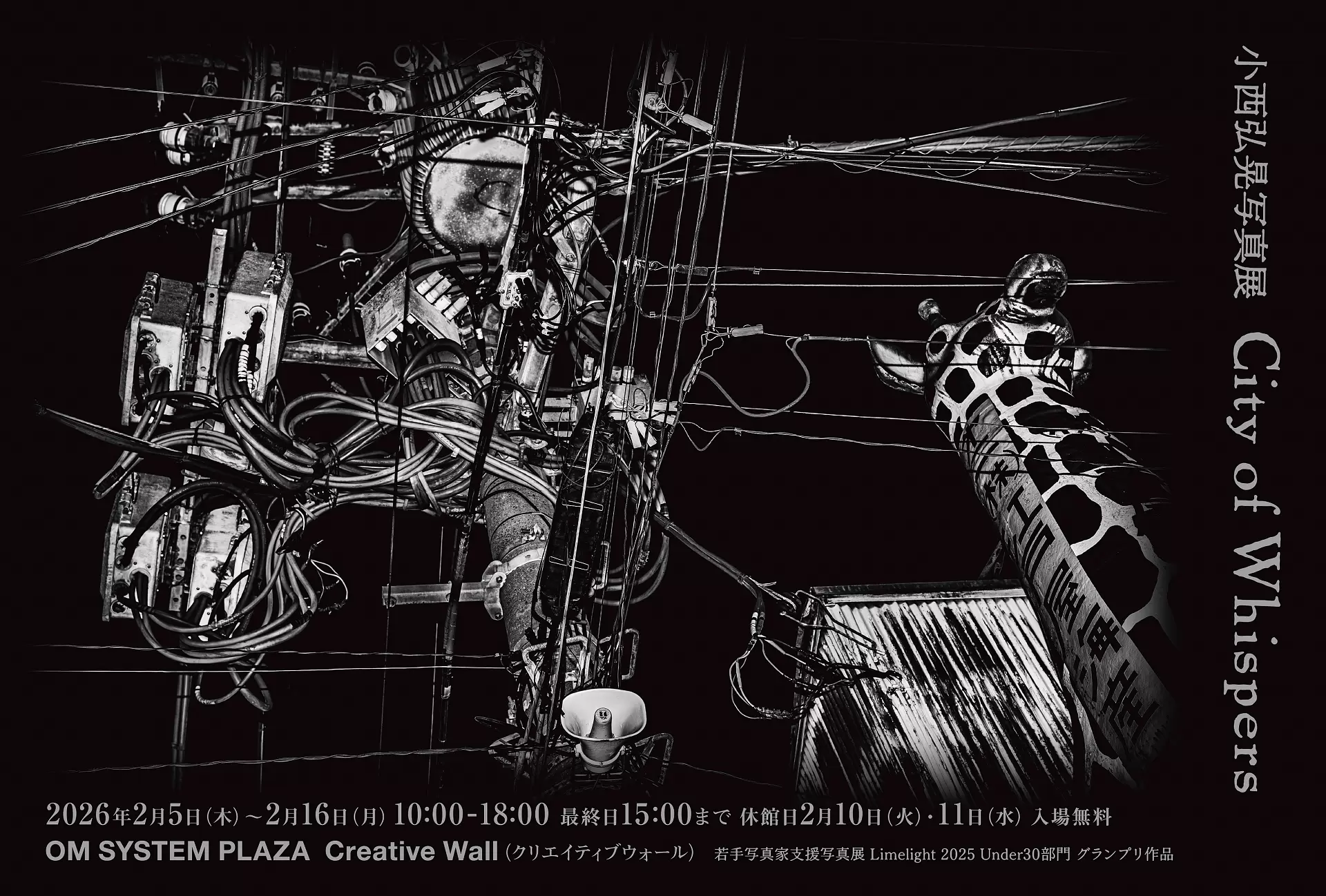 若手写真家支援写真展「Limelight 2025」Under30部門グランプリ作品
