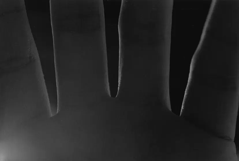 小平雅尋 「videre videor II」