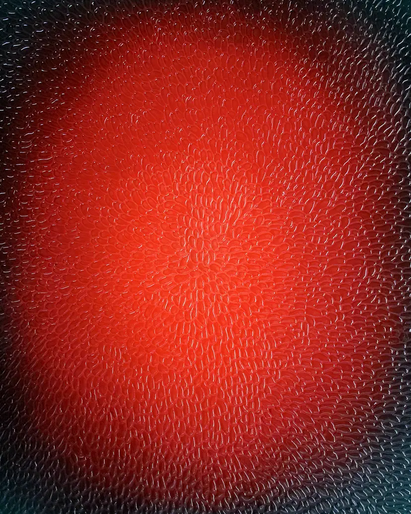 INCEPTION　浅井うね solo exhibition