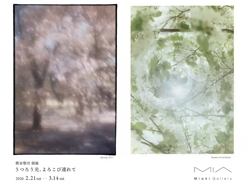 "Shifting Light, Bringing Joy," a solo exhibition by Seiji Kumagai