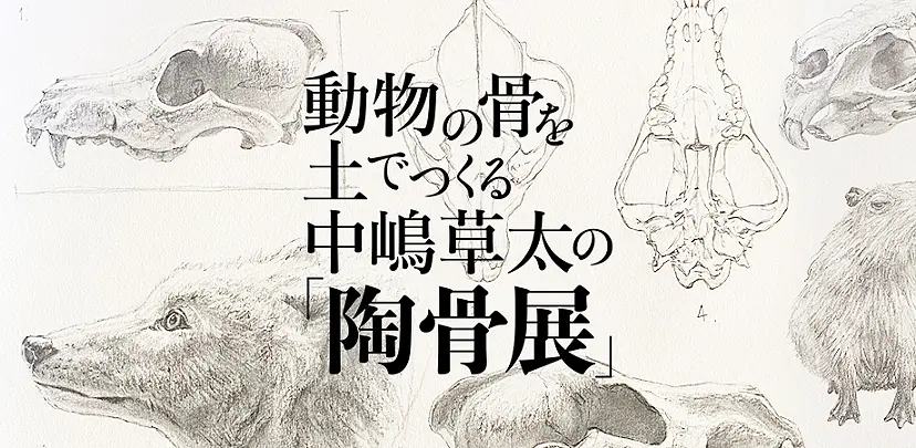 動物の骨を土でつくる中嶋草太の「陶骨展」