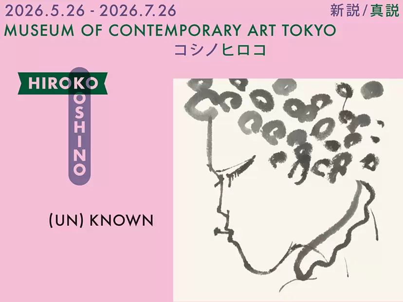 (UN)KNOWN HIROKO KOSHINO ―新説／真説コシノヒロコ―