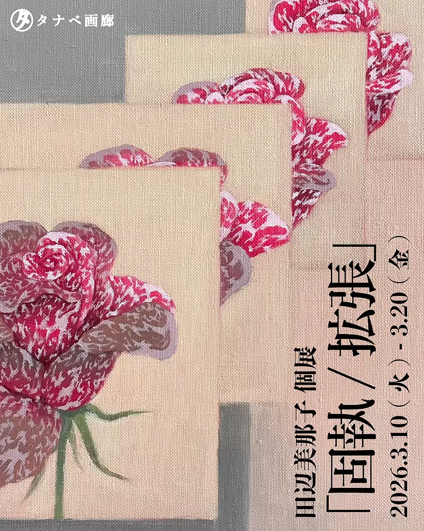 田辺美那子 個展「固執/拡張」