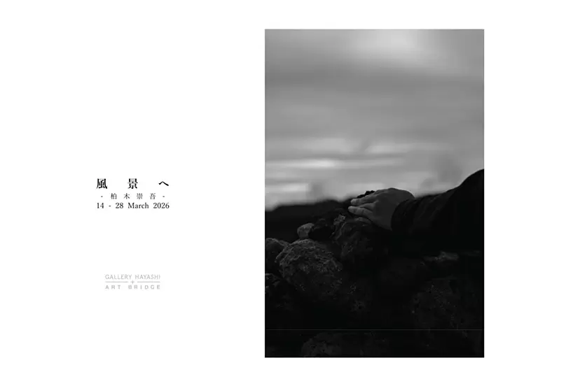 to the landscape