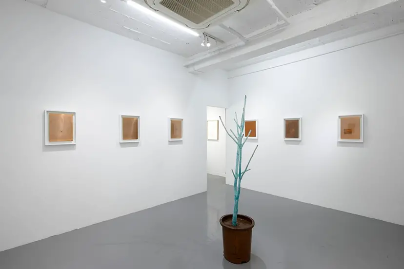 河口龍夫・個展「関係―種子・銅」