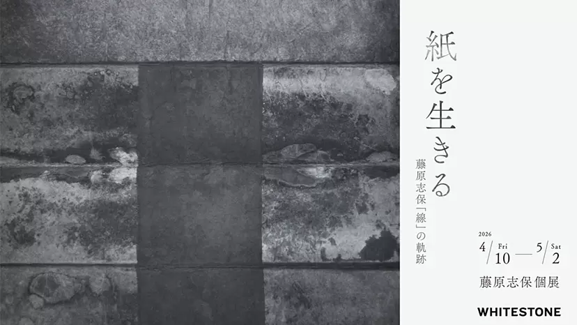 紙を生きる-藤原志保「線」の軌跡