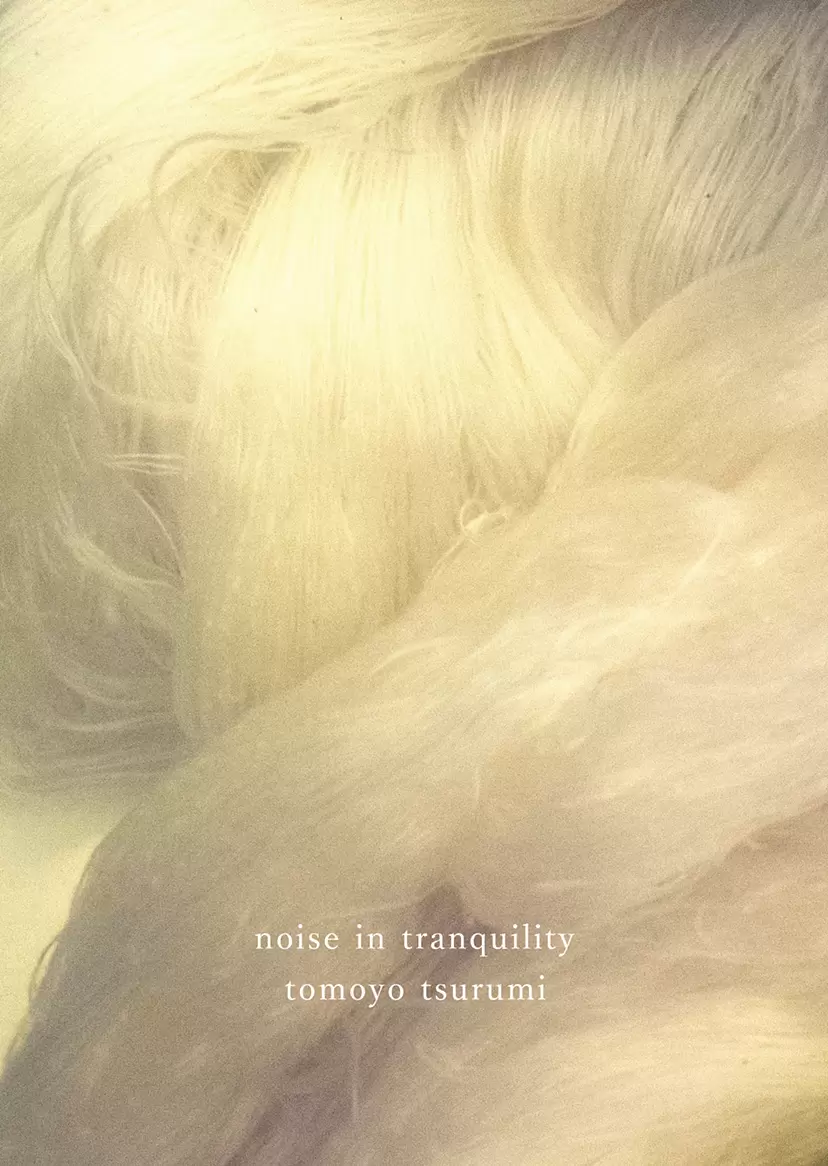 Tomoyo Tsurumi "noise in tranquility"