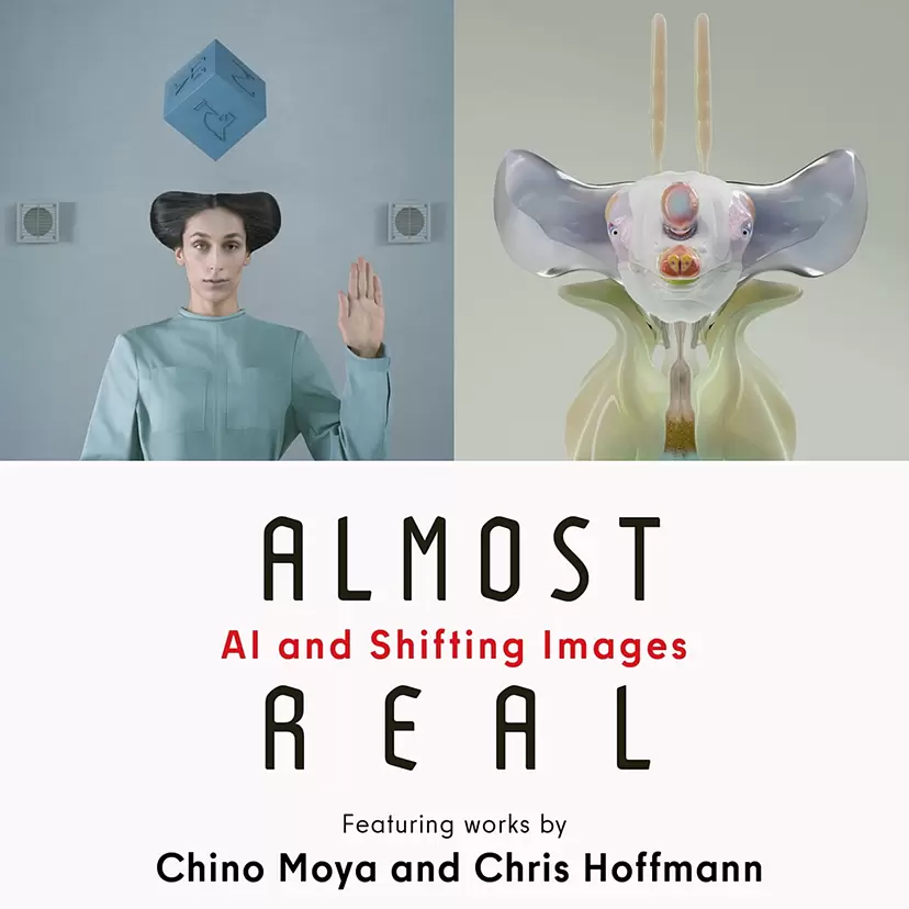 ALMOST REAL -AI and Shifting Images-