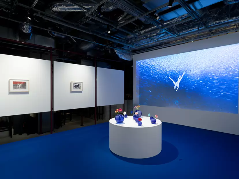 Kyun Chome Solo Exhibition “Bouquets for an Ambiguous Earth” Talk Event