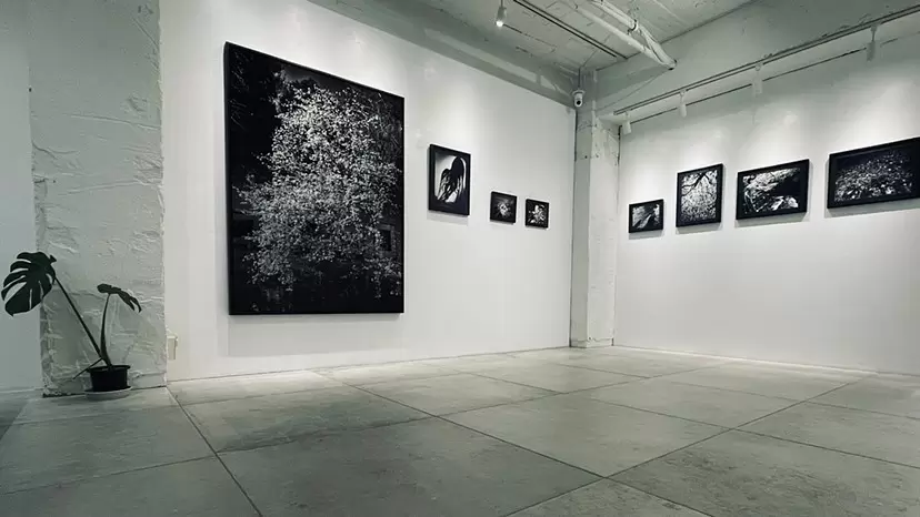 夜 — Solitude 名方亜希 個展 | ArtSticker