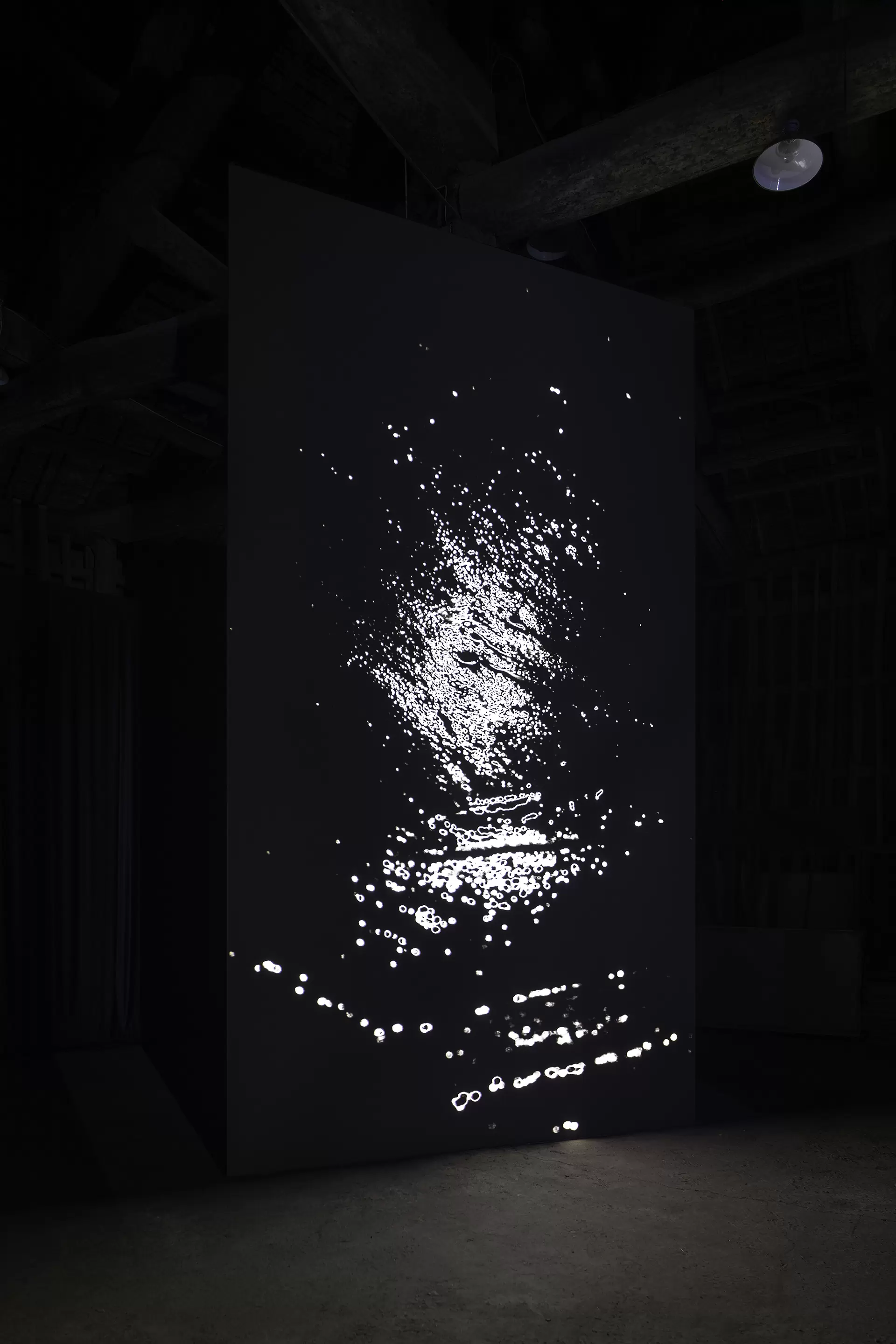 Goldwin.Inc×ArtSticker： 志村信裕「月日 / the moon and the sun