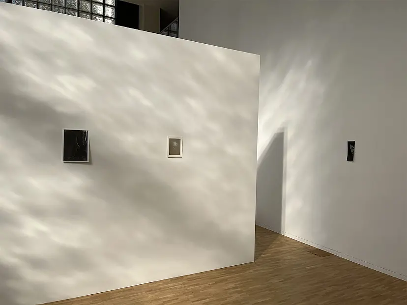 「A Quiet Sun」田口和奈展