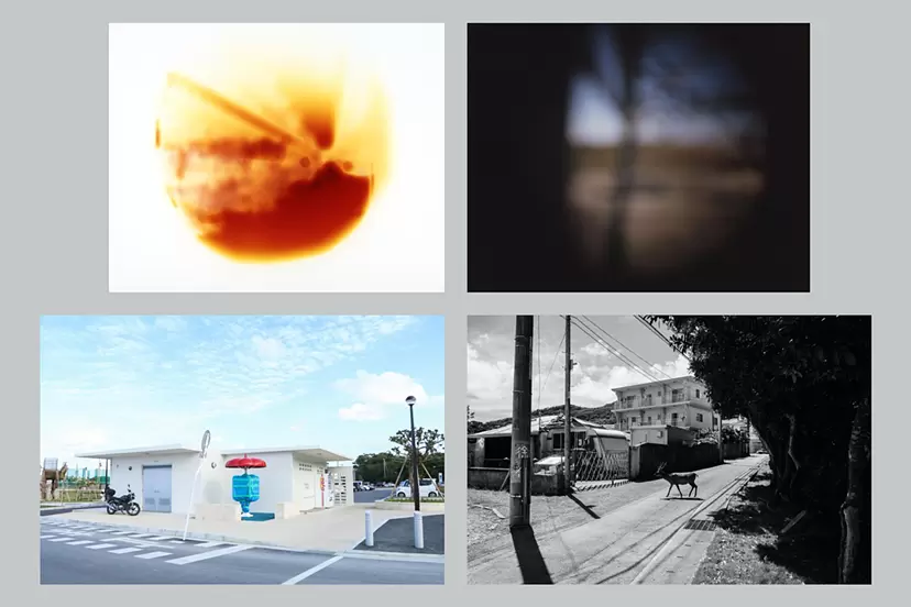 T3 PHOTO FESTIVAL TOKYO 2026 企劃展