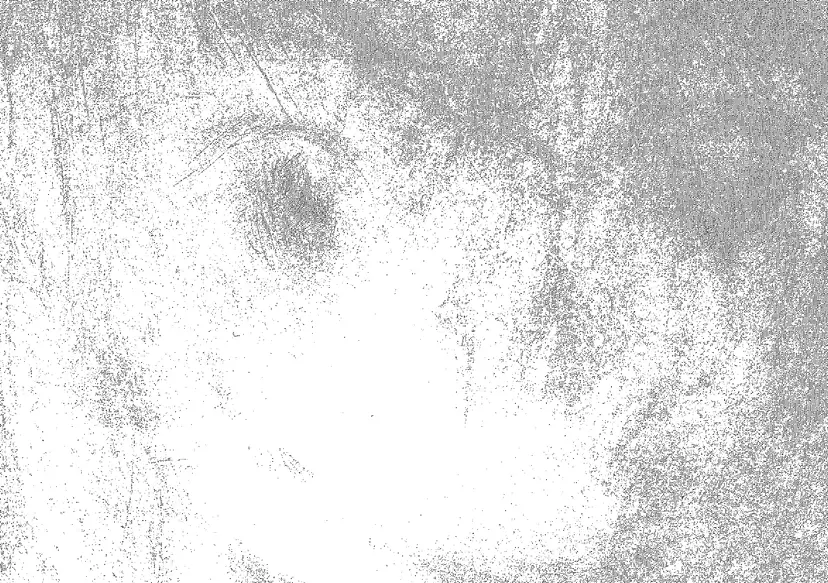 Shu Yonezawa Solo exhibition “Voiceless Voice”