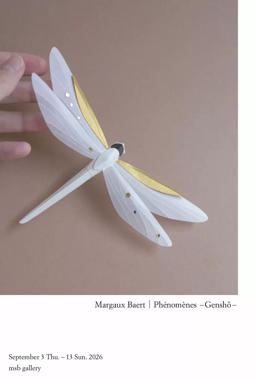 Margaux Baert  |  Phénomène -Genshô-