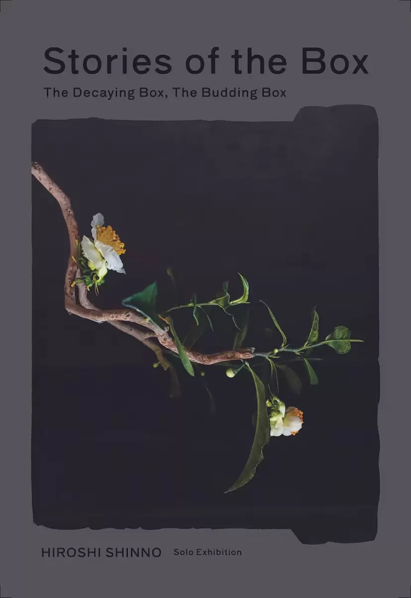現代アート 絵画の購入・販売・通販サイト | ArtSticker（アートス