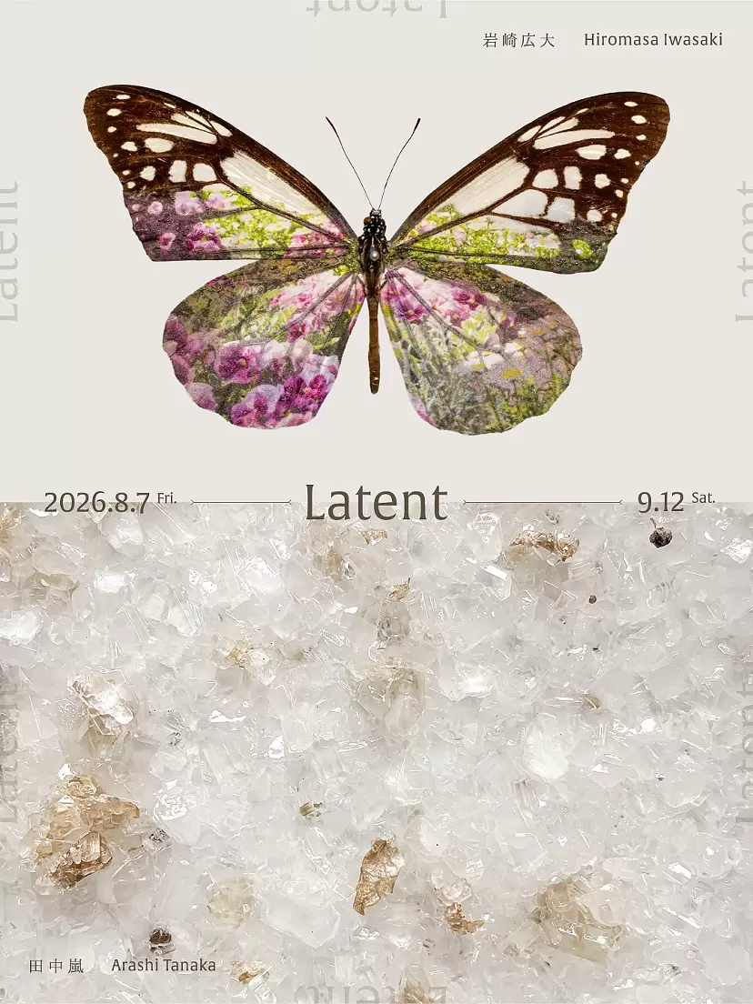 Hiromasa Iwasaki Arashi Tanaka| Latent