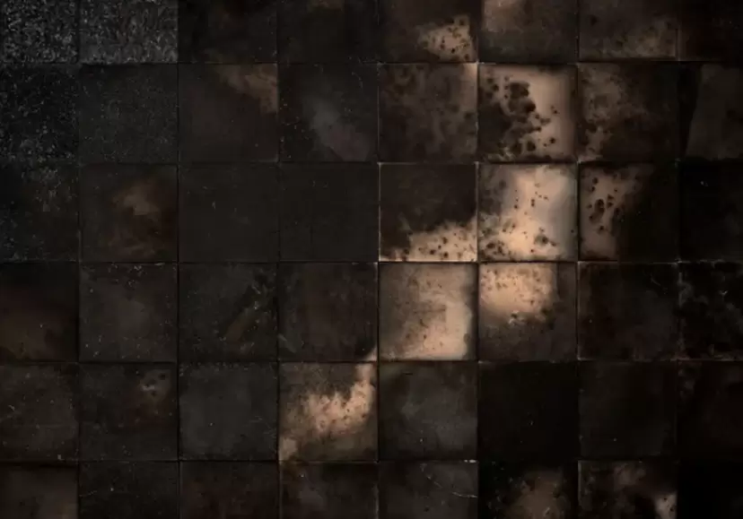 阿曽藍人「Earthscape」