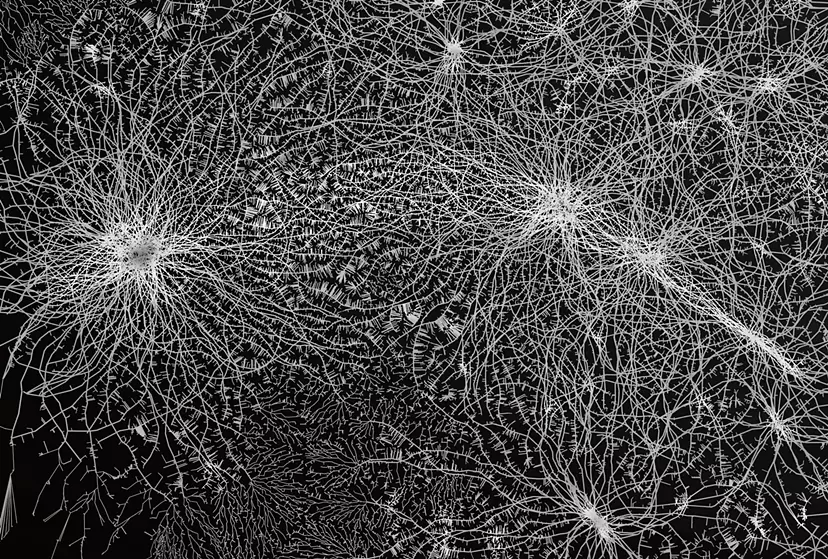 Rhizomatiks "After Understanding"