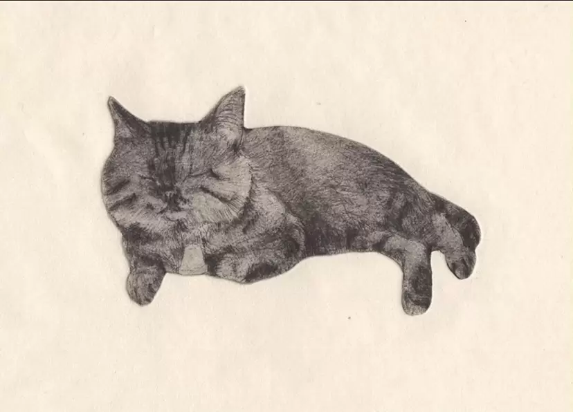 Kaoru Furuya "Raining Cats and Dogs"