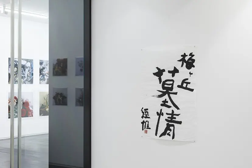 最終価格【希少 非売品】「東京墓情 荒木経惟×ギメ東洋美術館」カタログ写真集 Tombeau Tokyo Nobuyoshi Araki × Guimet Museum - 荒木 経惟