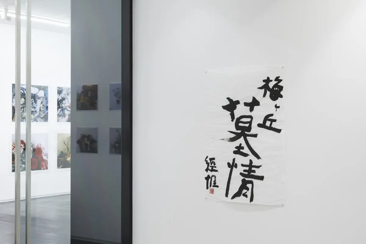 荒木経惟 「梅ヶ丘墓情」 | ArtSticker