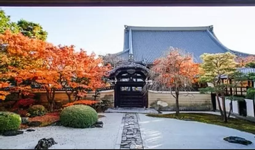Marugoto Art Museum ∼Autumn 2025∼