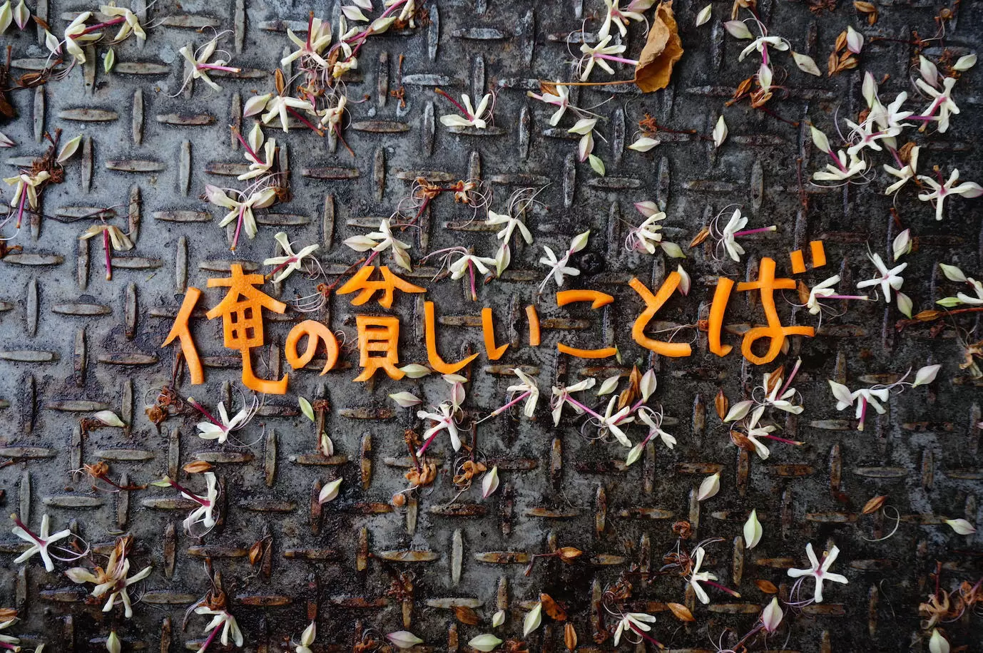 袴田京太朗「陰の彫刻」 − 開廊20周年記念展 Vol. 5 | ArtSticker