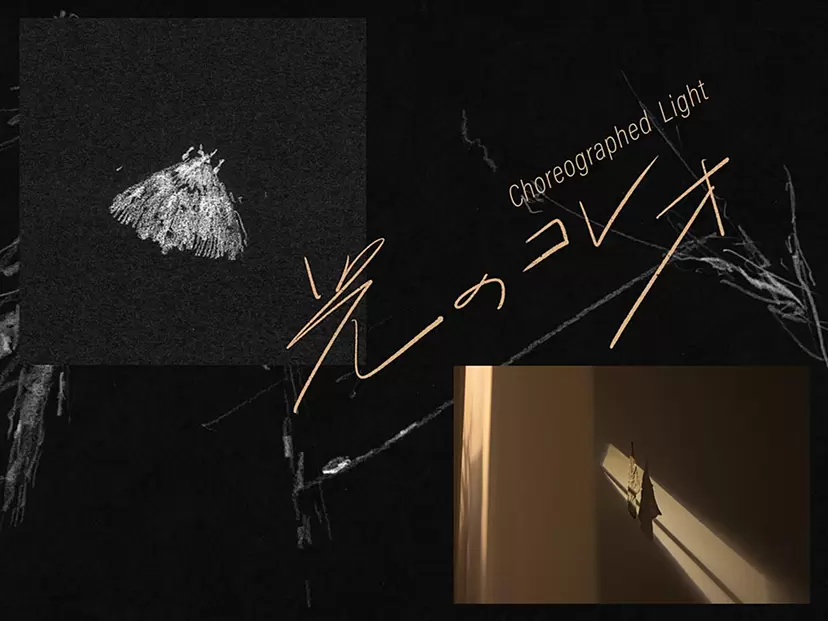 More Experiments |莊 禾 & 蕭 禹琦「光のコレオ」