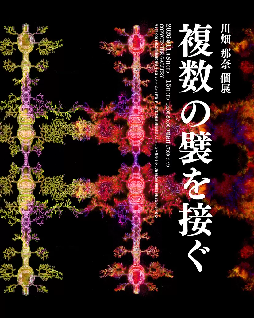 川畑那奈 個展 複数の襞を接ぐ