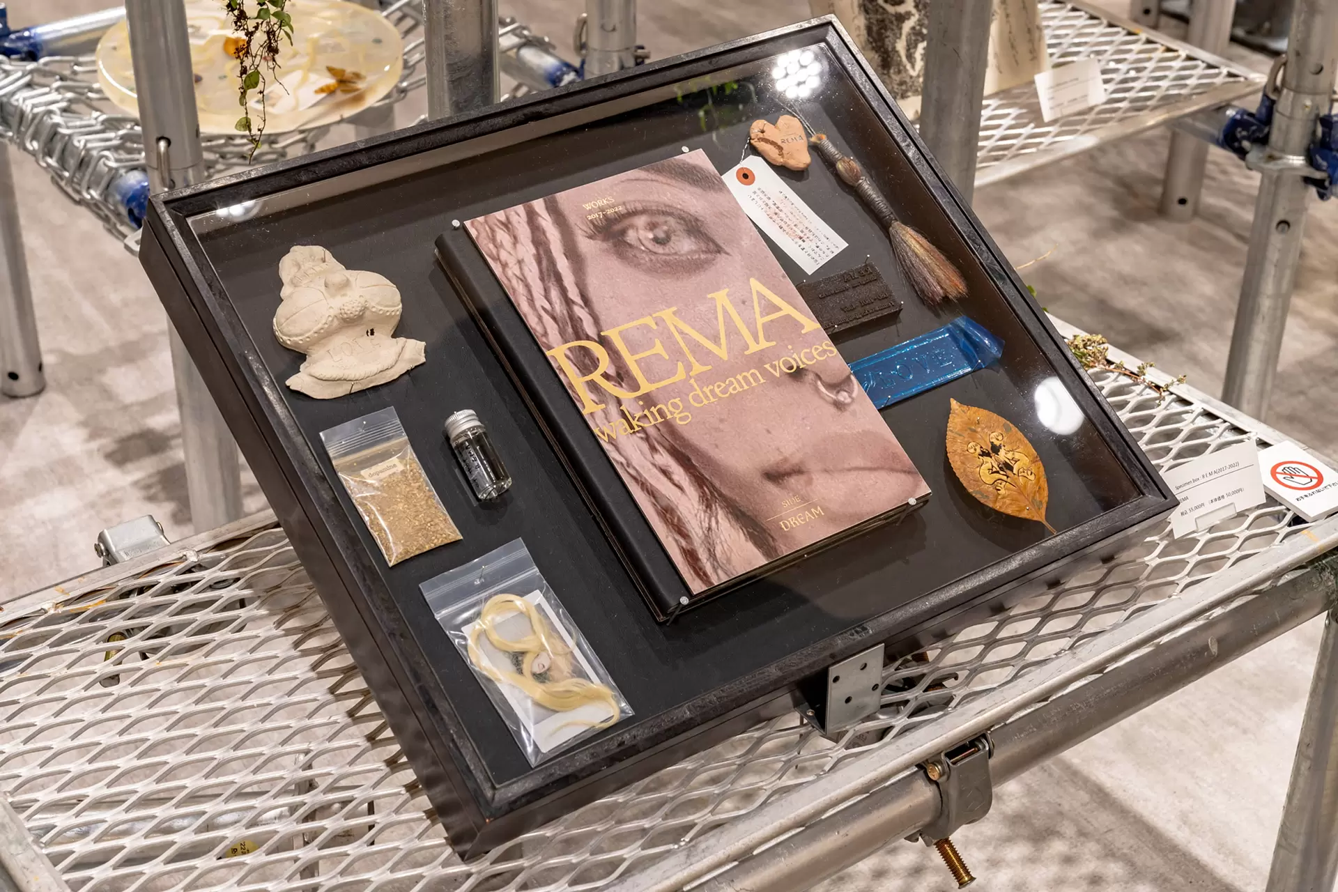 ロメロ・ブリットの猫による再解釈 neo BOTANICAL 変質し続けること、それは儚くも恐ろしくもない