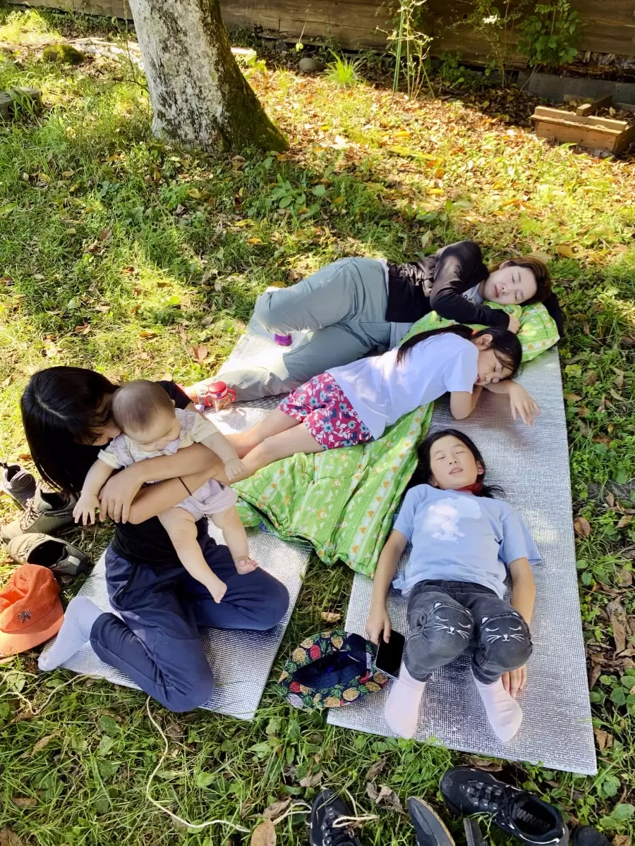 奈良美智 台湾特別展 ポストカード14種セット 台湾特展 2021 公式グッズ・