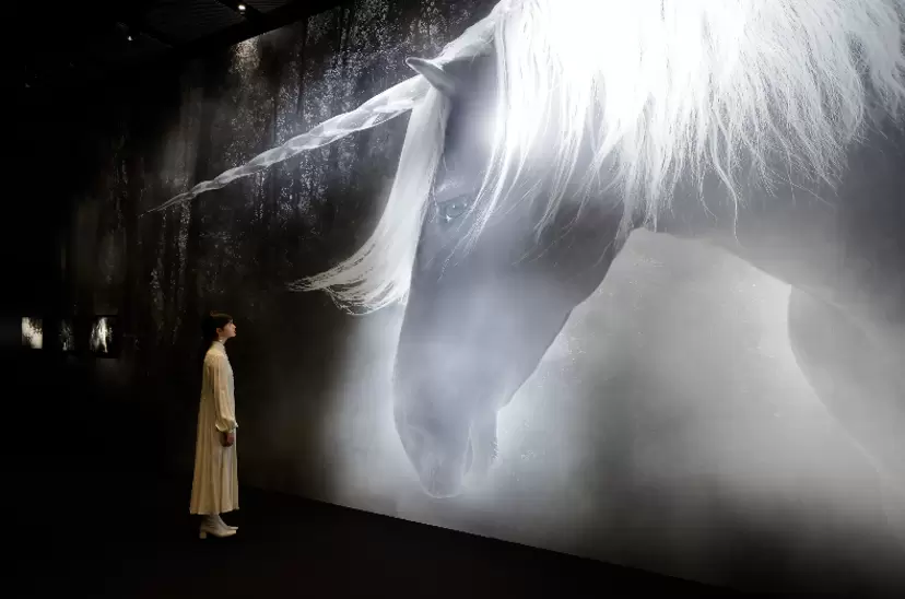 今週末に見たいアートイベントTOP5: シャネル・ネクサス・ホール「ある少女の哲学」、国立新美術館「DOMANI・明日展」ほか|ARTnews JAPAN