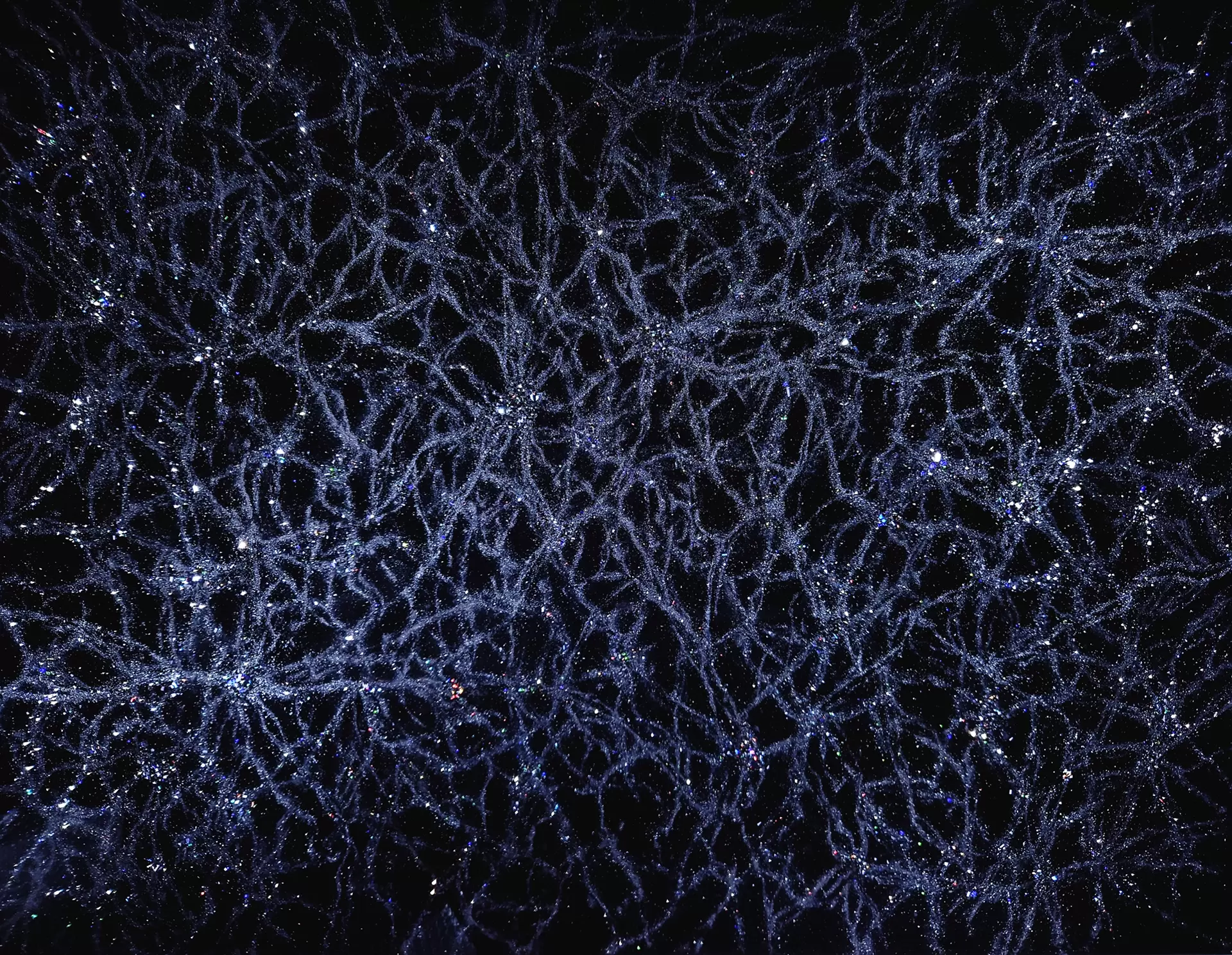 魚藻荷蓮紋蓋罐 明嘉靖朝 景德鎮五彩瓷 村上隆 絵画 1枚 11月18日(月)12時よりWEBショップにて、村上隆新作ポスター『魚