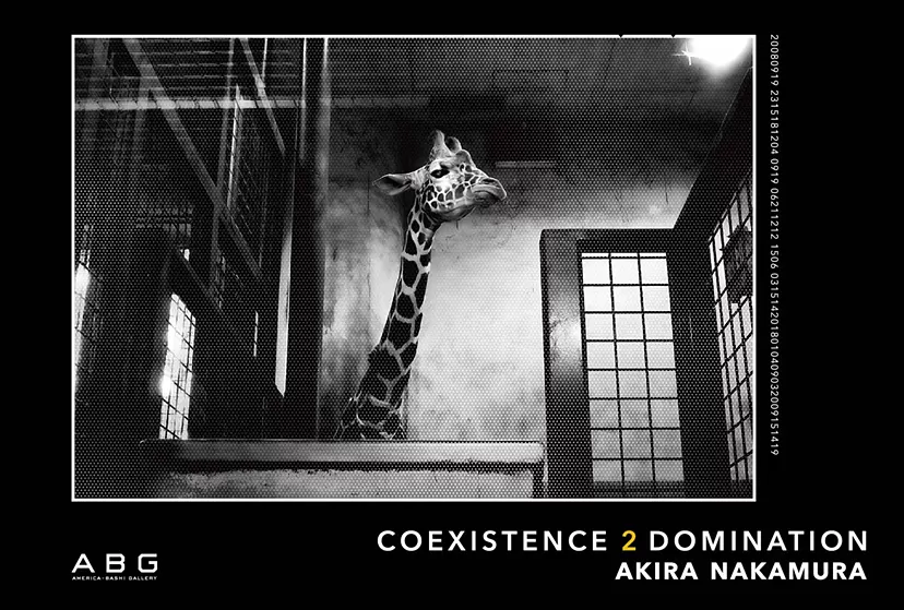 COEXISTENCE 2 DOMINATION