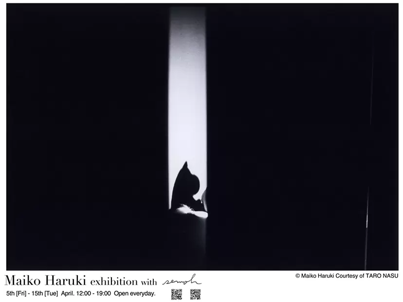 Maiko Haruki exhibition with semoh