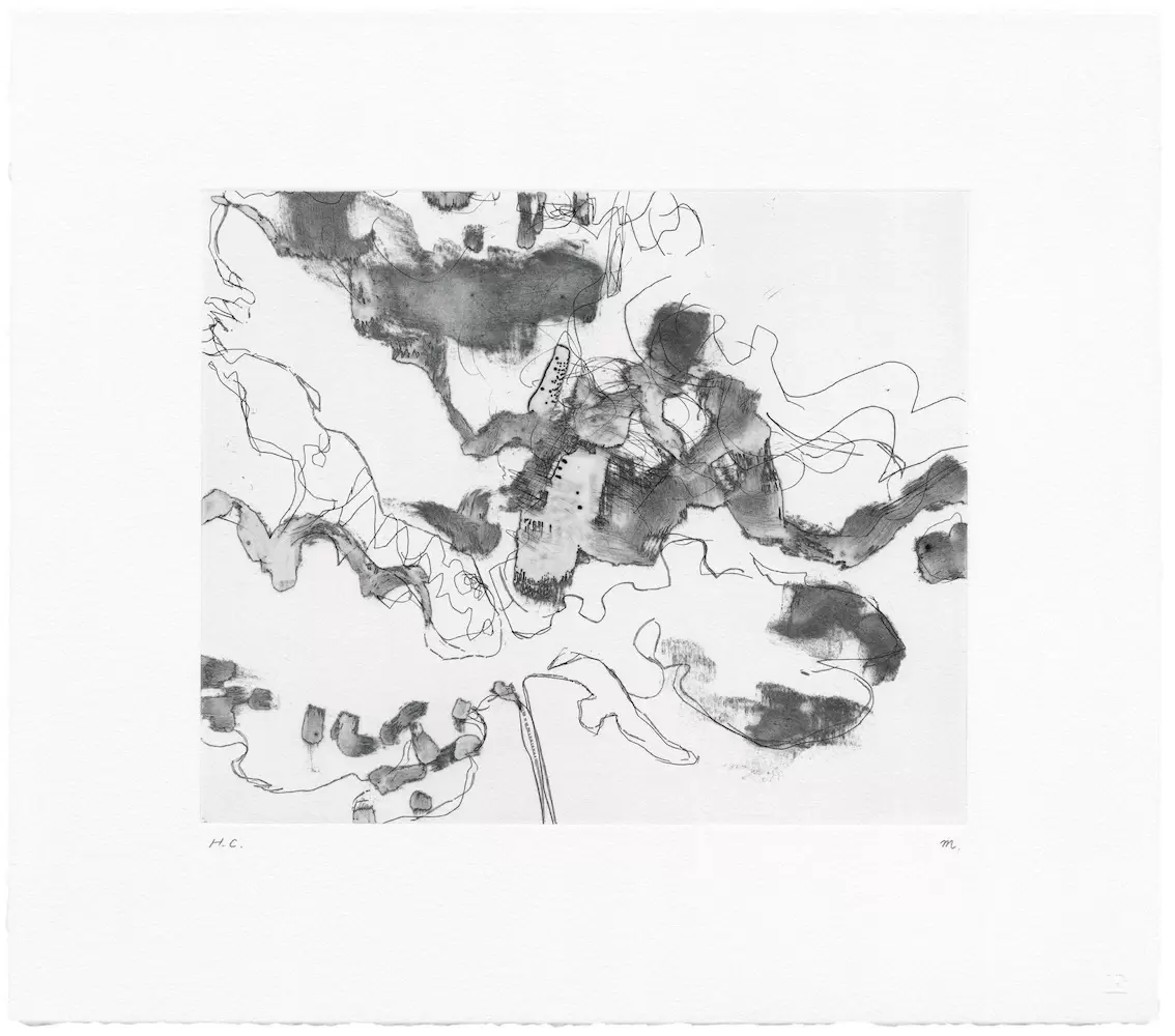 上田みゆき 「ＺＡＺＥＮ」ジクレー版画 津上みゆき 個展「欠片、植物、人の場所」 | オンラインチケット販売