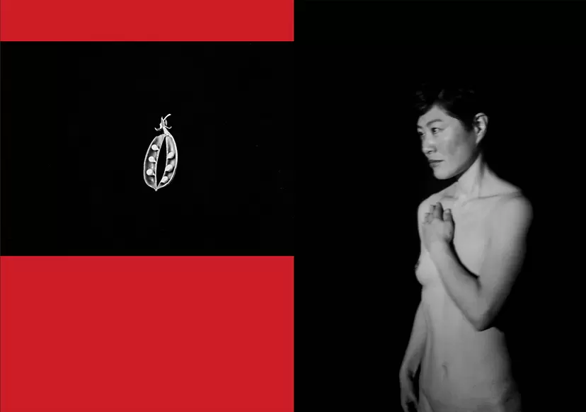 鈴木麻弓 個展『豊穣』