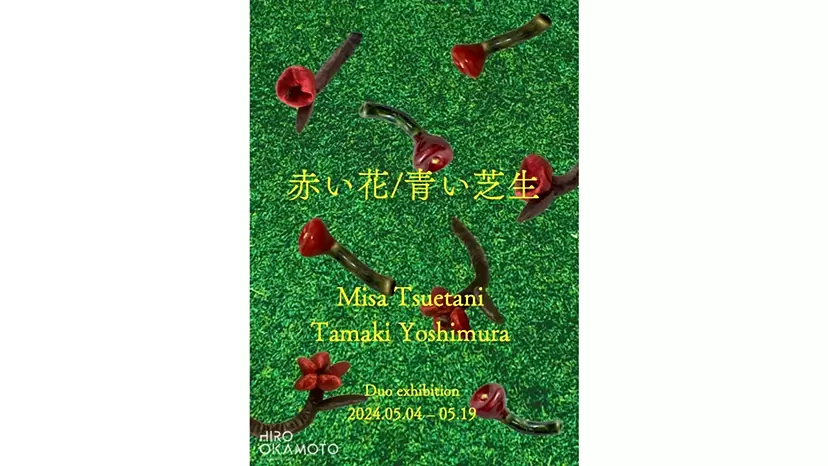 Red flower/Blue grass